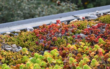 the cost of Shrubs Hill green roof installation