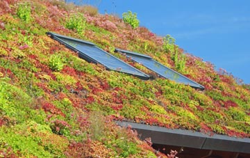 Shrubs Hill living roof systems