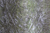 Shrubs Hill fibreglass roof work